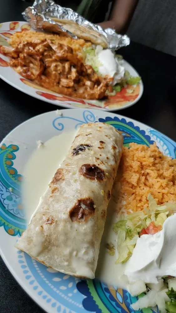 Burrito Mojado